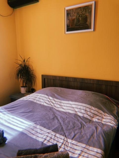 Home Away Home In Heart Of Tbilisi Esterno foto