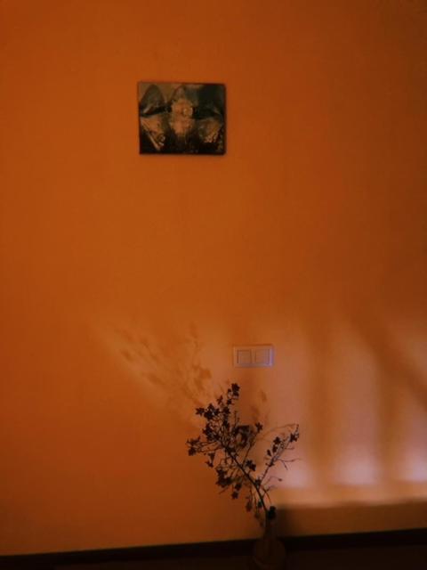 Home Away Home In Heart Of Tbilisi Esterno foto